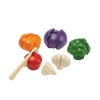 5 Colors Veggie Set