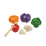 5 Colors Veggie Set