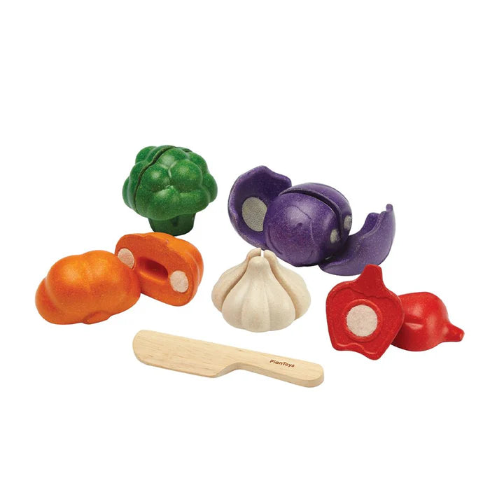 5 Colors Veggie Set