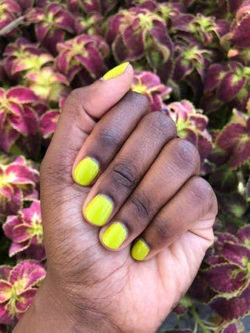 Pistachio Nail Polish