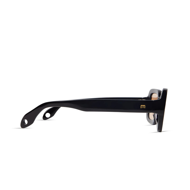 Lexi in Gloss Black Brown Lens