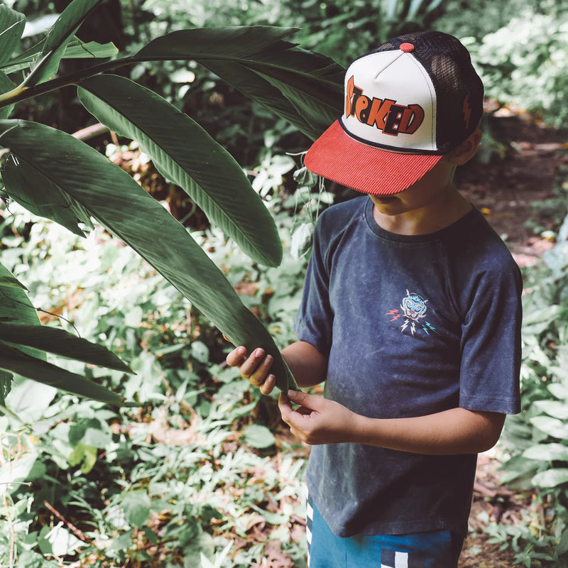 Tiger Style Raglan Tee