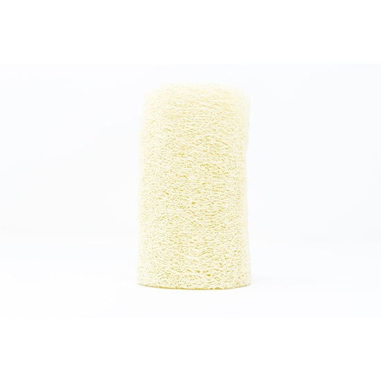 Natural Loofah Sponge