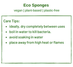 Eco Sponge