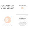 Grapefruit + Spearmint Mini Candle 2oz